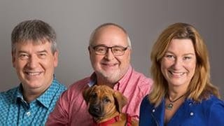 SWR4 - Experten - vlnr. Stefan Bender, Ralph Schuh, Heike Boomgaarden