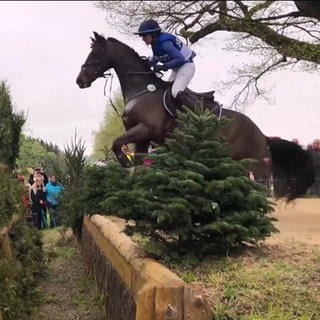 Vielseitigkeitsreiter Sven Lux auf dem Pferd