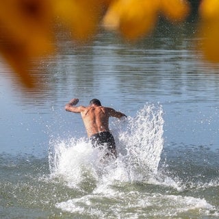 Ein Mann springt in den Schwarzachtalsee, im Vordergrund sind herbstlich gefärbten Kastanienblätter zu sehen. Die Wasserqualität der  Badeseen in BW ist laut aktuellen Untersuchungen meist gut bis sehr gut.