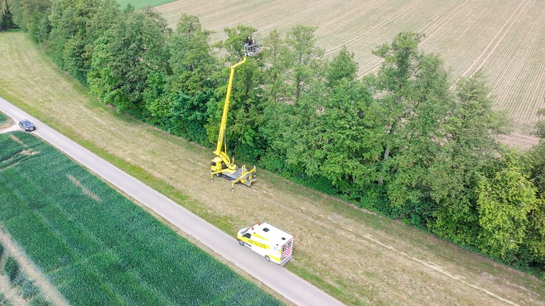 Nur mit einer Hubbühne kann die Tierrettung Unterland die verlassenen Mäusebussard-Babys aus einer Baumkrone in 20 Metern Höhe bergen. Jetzt werden die in Bad Friedrichshall gepflegt.