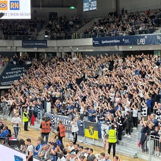 Stehtribüne im Heidelberger SNP-Dome beim Spiel Academics gegen Bayern