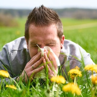 Im Mai machen vor allem Gräserpollen Allergikern das Leben schwer. Doch es gibt neue Therapien. (Mann liegt im Gras und schneuzt sich die Nase.)