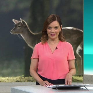 Nachrichtensprecherin Anke Neuzerling
