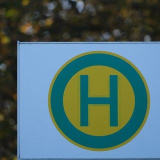 Das Hinweisschild für eine Bushaltestelle hängt an der Haltestelle für einen Linienbus. Am Samstag eskalierte in Landau ein Streit zwischen einem Autofahrer und einem Busfahrer. Der Busfahrer wurde mit einem Pfefferspray leicht verletzt.