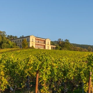 das Schloss Villa Ludwigshöhe bei Edenkoben