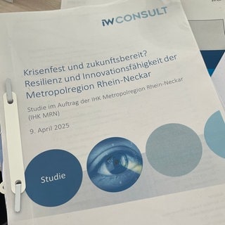 Resilienz Wirtschaft