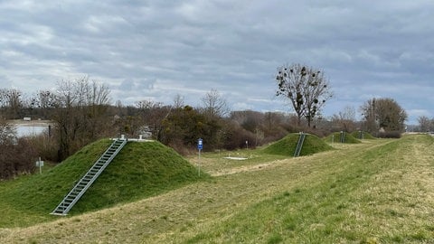 Am Rheinufer bei Guntersblum stehen zehn Brunnen in einer Reihe, die das Uferfiltrat fördern. (Foto: SWR) Am Rheinufer bei Guntersblum stehen zehn Brunnen in einer Reihe, die das Uferfiltrat fördern.