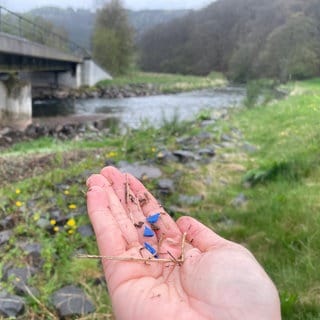 Die ganze Kyll entlang findet sich blaues Granulat, wie hier in Sankt Thomas. Die Anwohner sprechen von einer Umweltkatastrophe. 