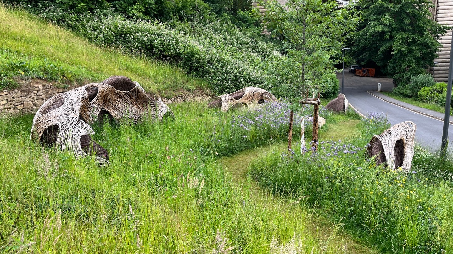 Eine Wiese mit den Skulpturen des Künstlers Tom Hare gehört zur Garten- und Freiluftausstellung LUGA in Luxemburg. Sie geht bis Oktober 2025.