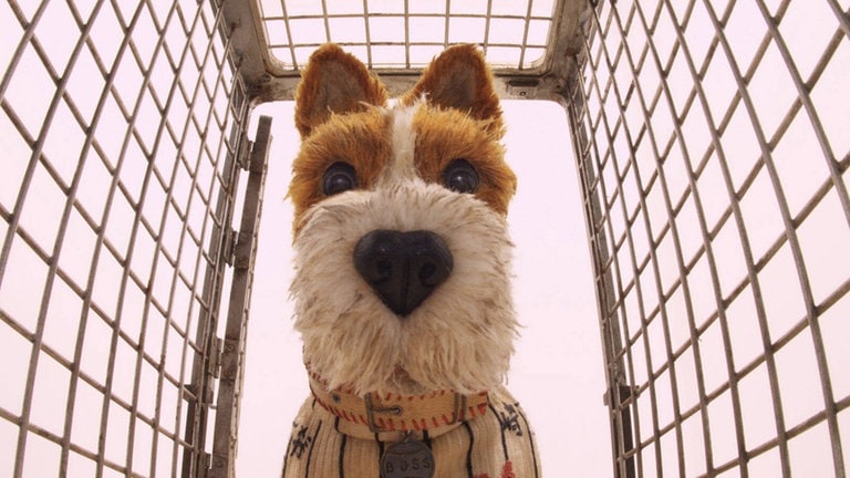 Isle of Dogs – Ataris Reise (2018) von Wes Anderson (Foto: IMAGO, Everett Collection) Isle of Dogs – Ataris Reise (2018) von Wes Anderson