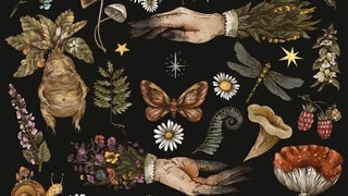 Whitchcraft magic plants with hands