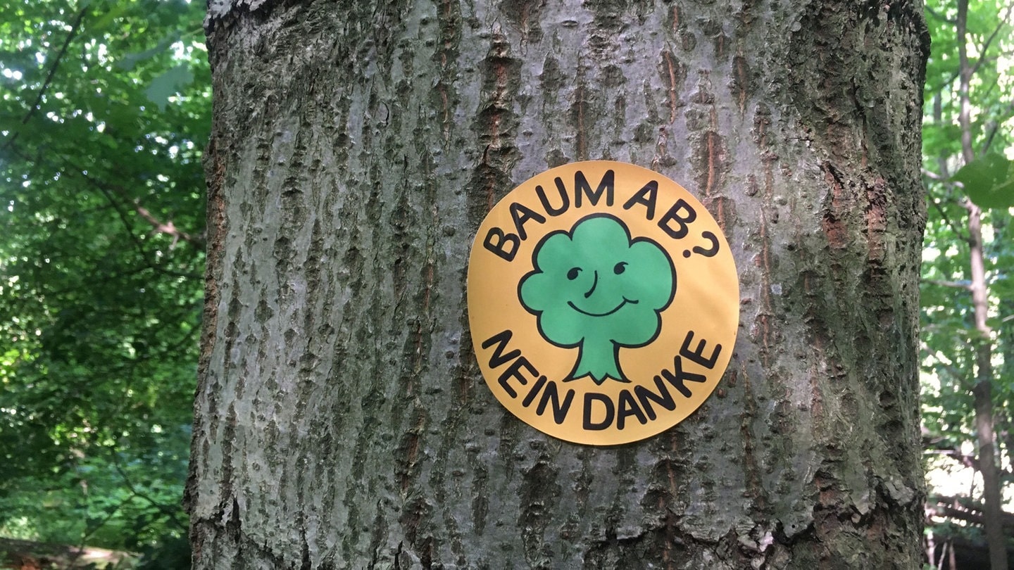 Markierter Baum im Juni 2021