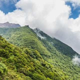 Natur des Berges Unzen in Kumamoto, Japan