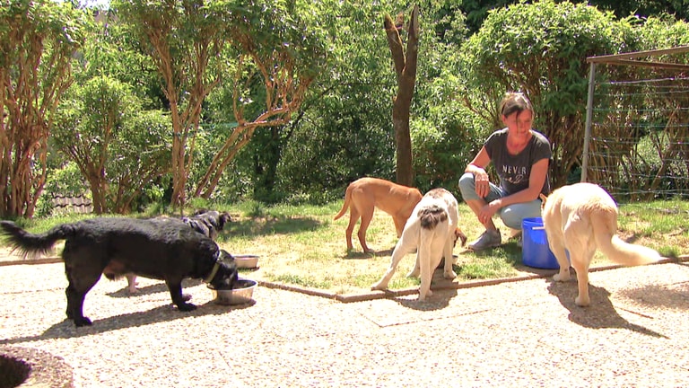 Irina Pohlmann mit ihren Hunden