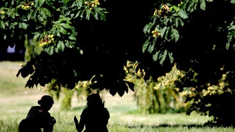 Zwei Frauen unter einem Baum (Foto: dpa Bildfunk, picture alliance/Oliver Berg/dpa) Zwei Frauen unter einem Baum