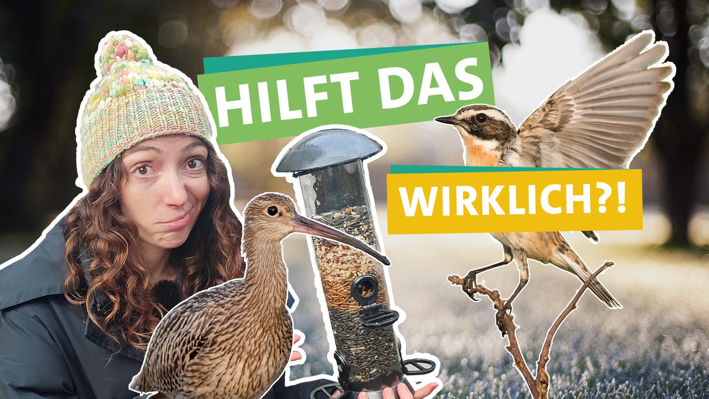 In der linken Bildhälfte schaut Ökocheckerin Lea Spraul fragend in die Kamera. Mittig sind zwei Vögel sowie ein Fütterungsbehälter für Vogelfutter abgebildet. Davor steht 
