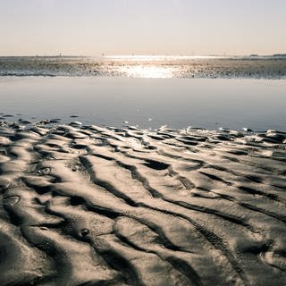 Priel im Wattenmeer zwischen Cuxhaven und der Insel Neuwerk